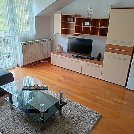 Appartamento Apartman Romansa Vrnjačka Banja Esterno foto