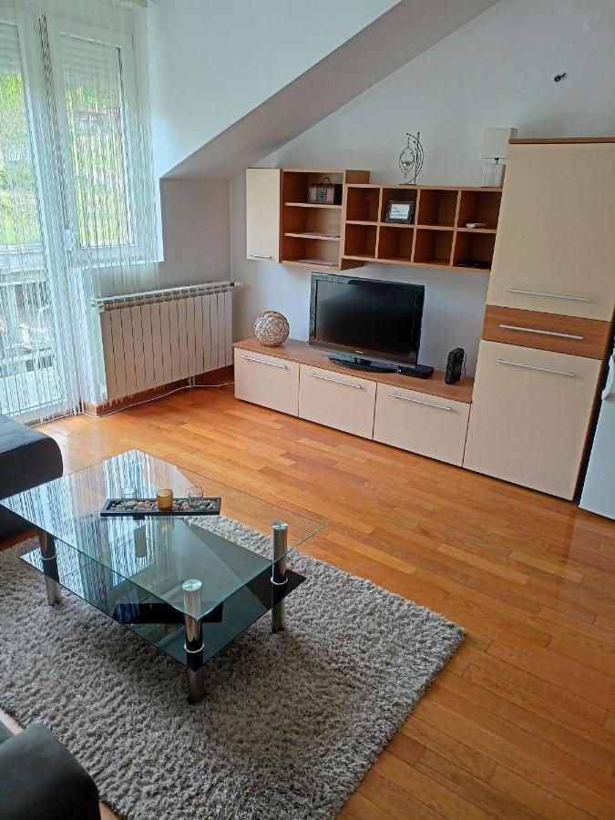 Appartamento Apartman Romansa Vrnjačka Banja Esterno foto